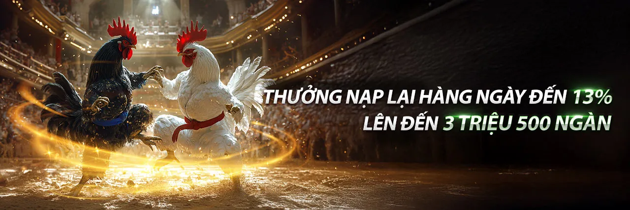 Banner khuyến mãi đá gà 56.win hấp dẫn